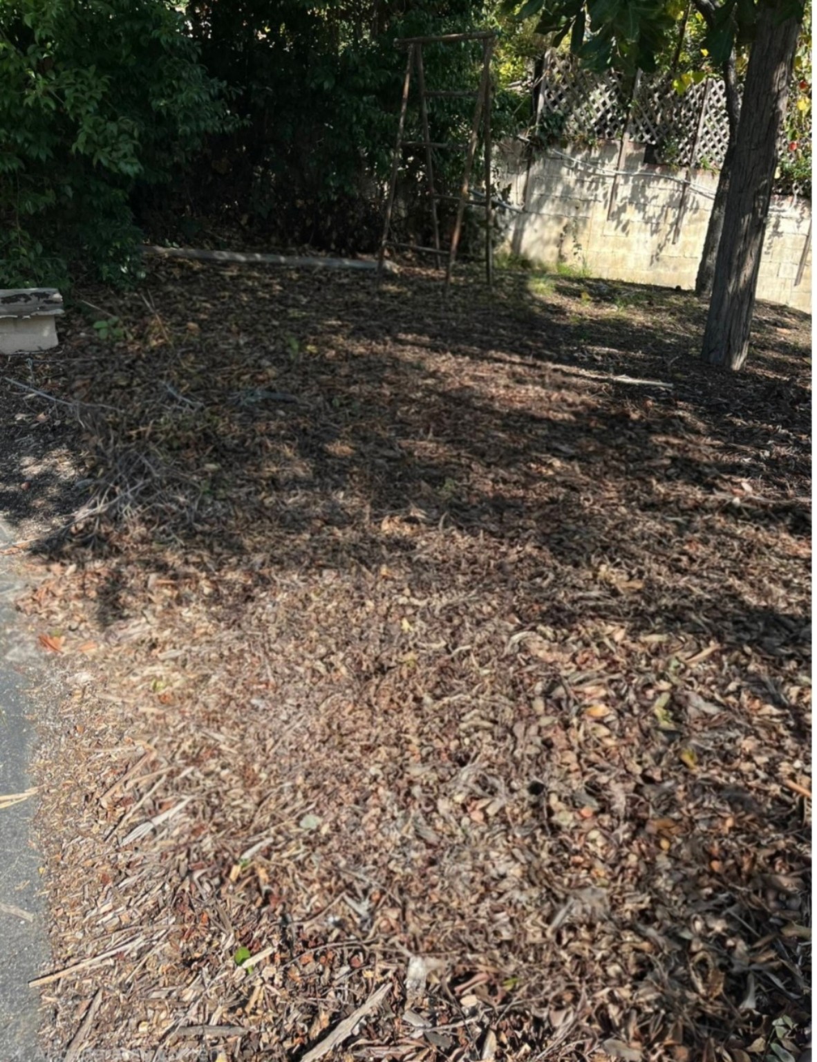 Yard after junk removal