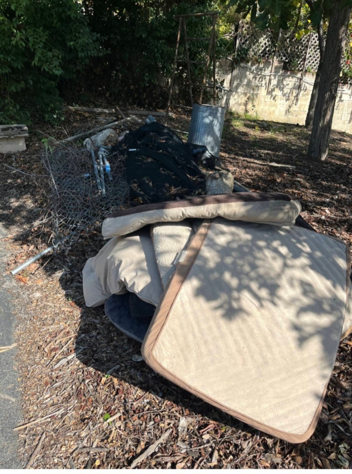 Yard before junk removal